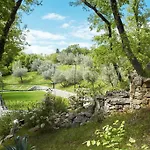 Vires * Labin (Istria)