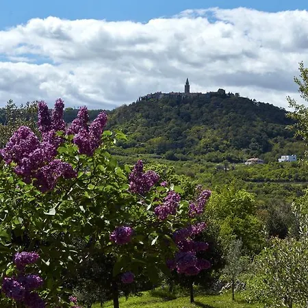 Vires Labin (Istria)